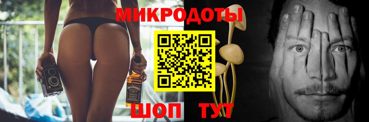 Псилоцибиновые грибы Psilocybine cubensis Ставрополь