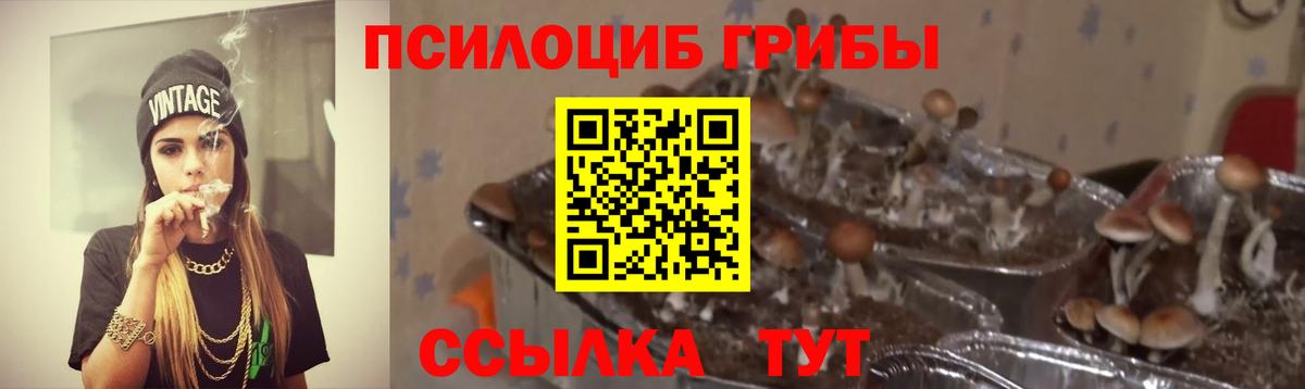 Галлюциногенные грибы ЛСД  Вход с VPN  Псилоцибиновые грибы Magic Shrooms  Ставрополь 