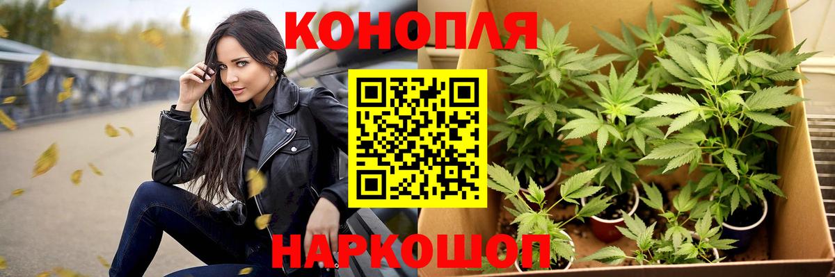 Шишки марихуана ГИДРОПОН  Шишки марихуана тримм  МАРИХУАНА Bruce Banner  Вход с VPN  Ставрополь  Канабис MAZAR 